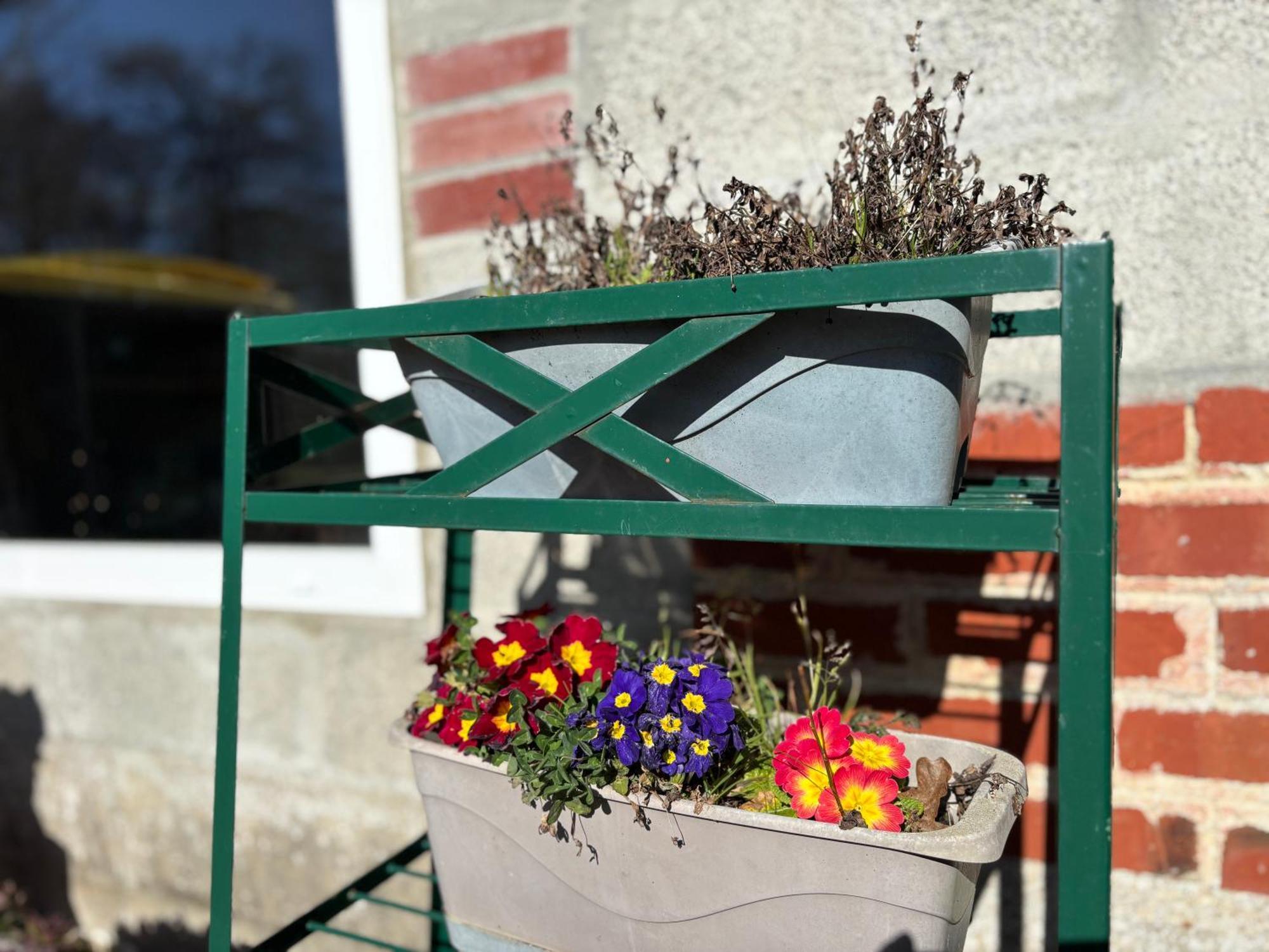 Maison De Campagne Lumineuse Spacieuse Dans Impasse Au Calme A Proximite D'Un Chateau Deux Verandas Grand Jardin Cabane Pour Velos, Pres Port En Bessin Et Bayeux, Proche Plages Du Debarquement Commes Kültér fotó
